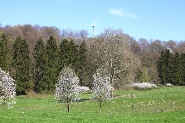 Belgien countryside with wind turbine