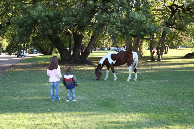 children and horse